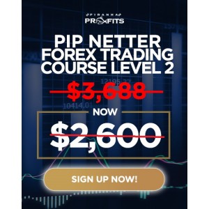 Piranha Profits Forex Trading Course Level 2: Pip Netter